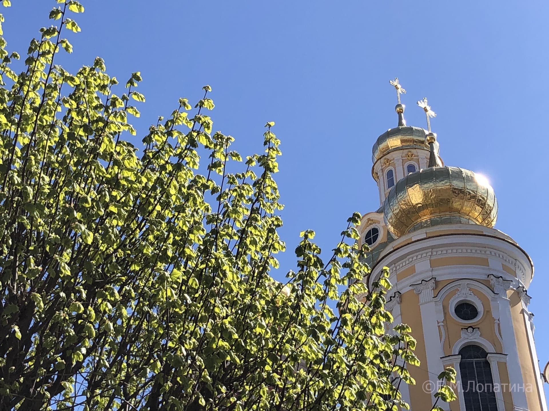 Санкт-Петербург. Колокольня Владимирского собора